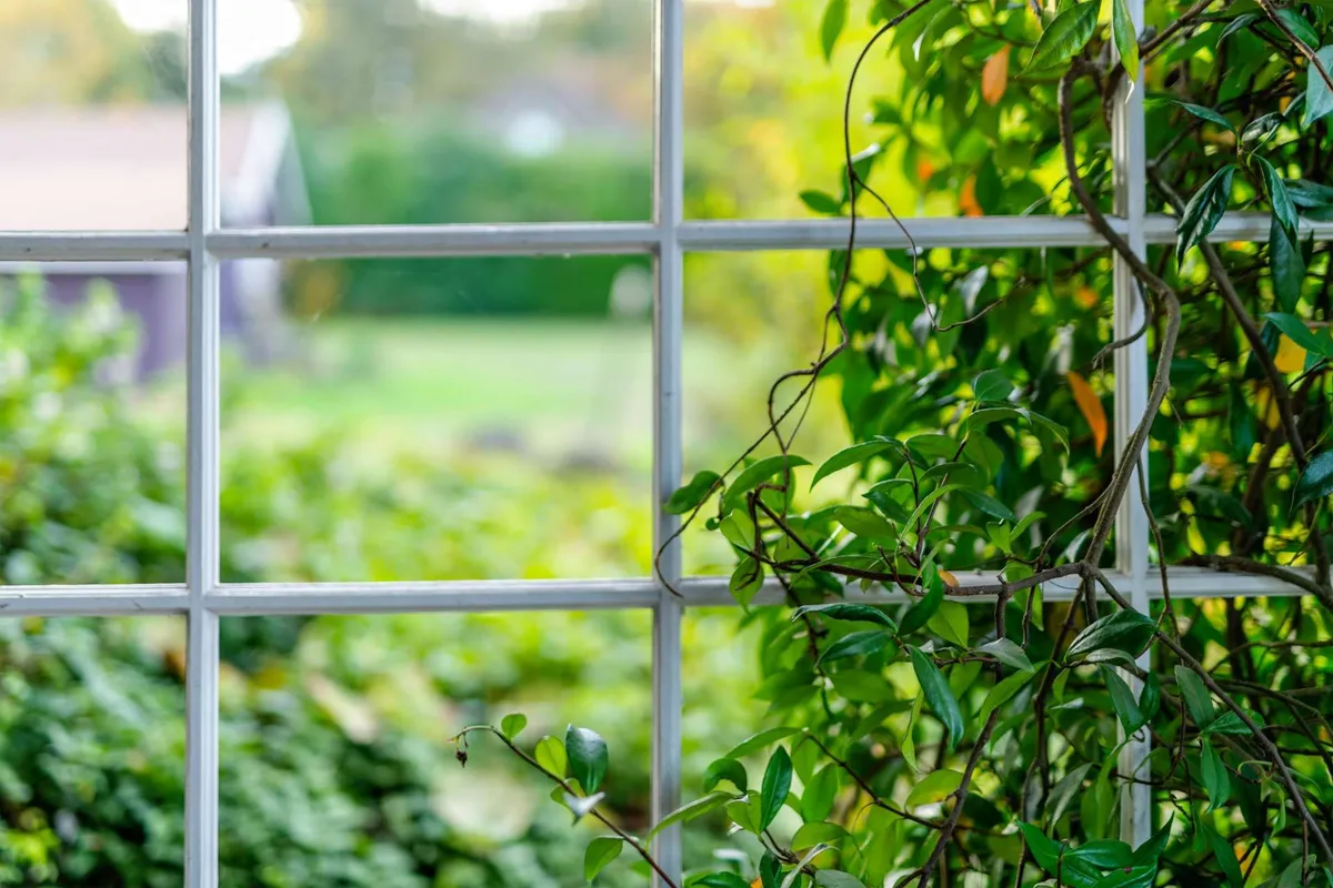 This image captures a window framing lush green foliage and an outdoor view. The indoor space is bathed in natural light, suggesting an immediate connection between the interior and the surrounding open land outside.