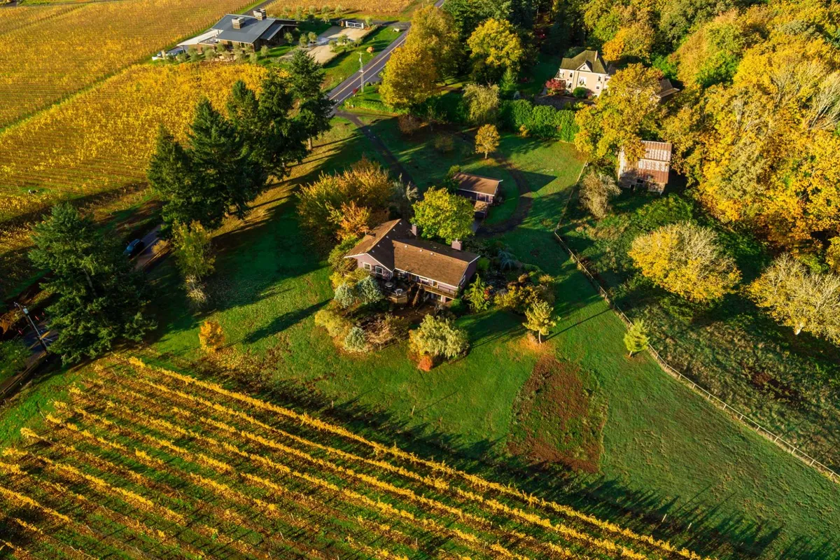 This exterior shot captures the main house surrounded by lush greenery, with an adjacent vineyard visible in the background. The image conveys the serene and authentic wine country atmosphere, highlighting both the proximity to nature and the immersive vineyard experience.