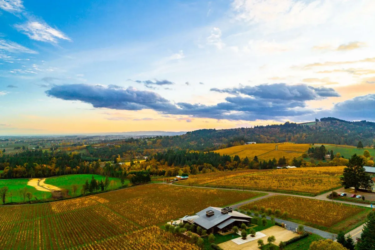 A breathtaking wide-angle view of rolling vineyards and dramatic mountains under a striking sky. The modern house is nestled among the hills, reinforcing the sense of privacy and natural beauty. The scene invites activities like wine tasting, outdoor dining, and nature walks, reflecting the region's allure.