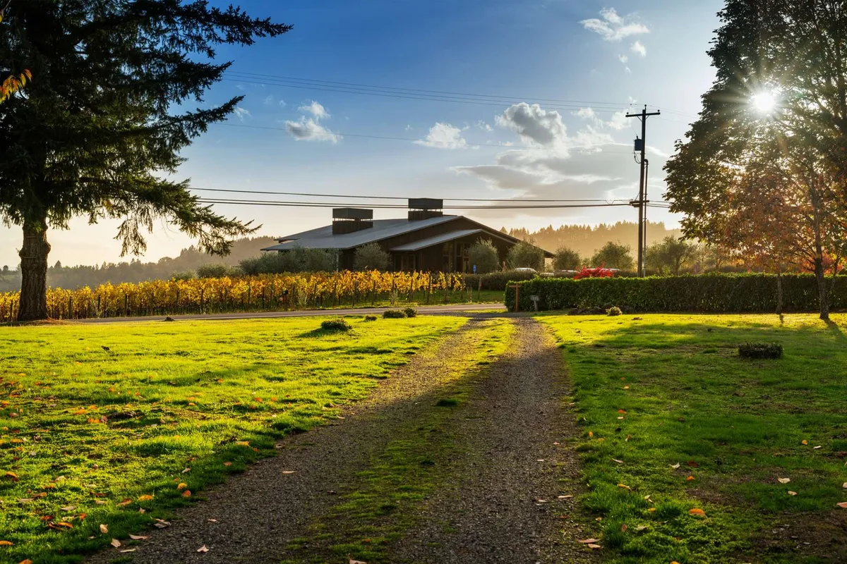 A tranquil exterior scene showcasing a gravel pathway leading to the house, surrounded by lush greenery and open lawns. Mature trees create a shaded, secure environment, ideal for pets to explore safely. The setting is picturesque, with a vineyard visible in the background, reinforcing the rural retreat atmosphere.